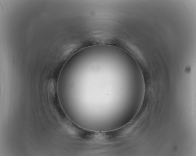 X0000092060121200709191150