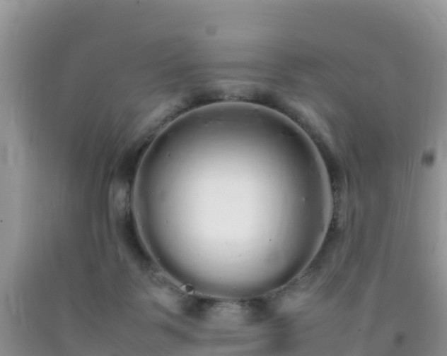 X0000092060123200709191150