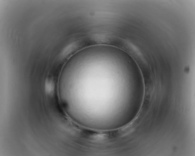 X0000092060124200709191150