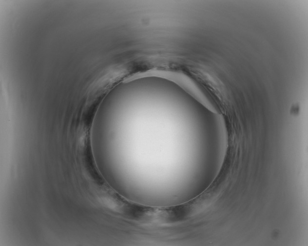 X0000092060125200709191150