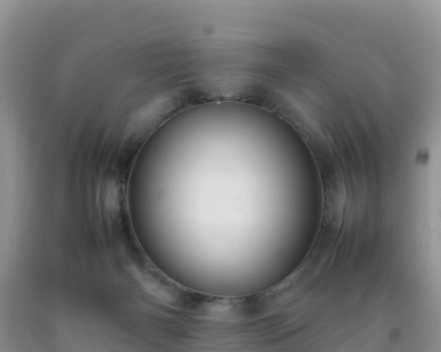 X0000092060126200709191150