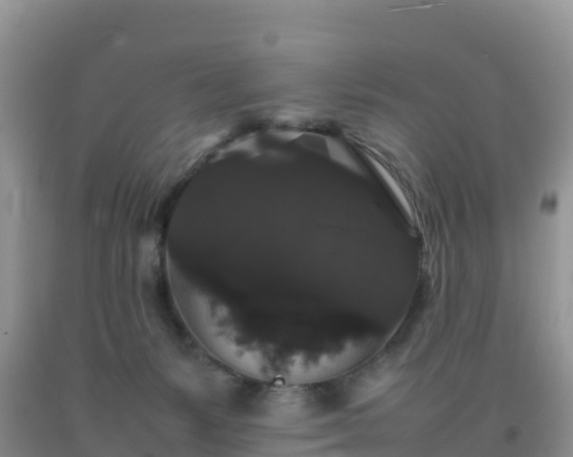 X0000092060127200709191150