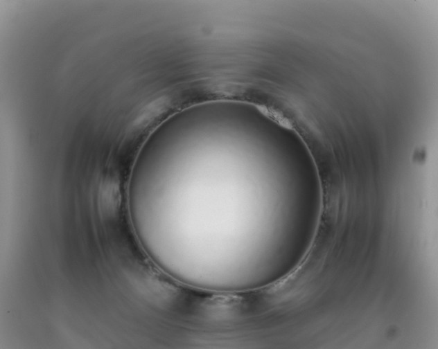 X0000092060128200709191150