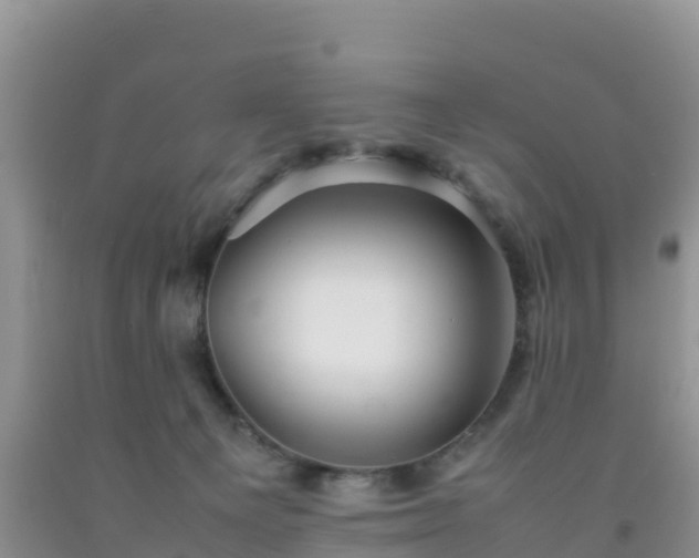 X0000092060129200709191150