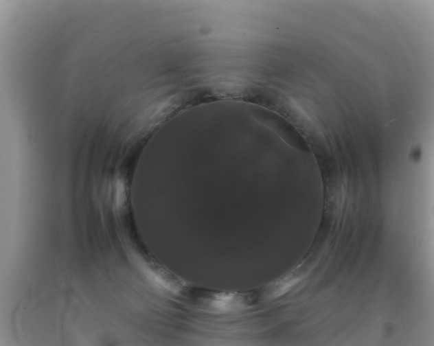 X0000092060130200709191150