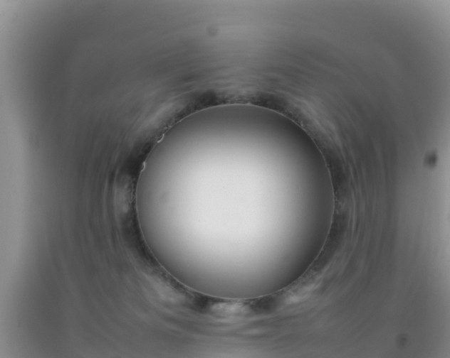 X0000092060133200709191150