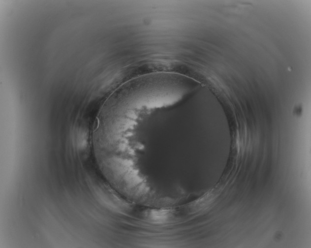 X0000092060134200709191150