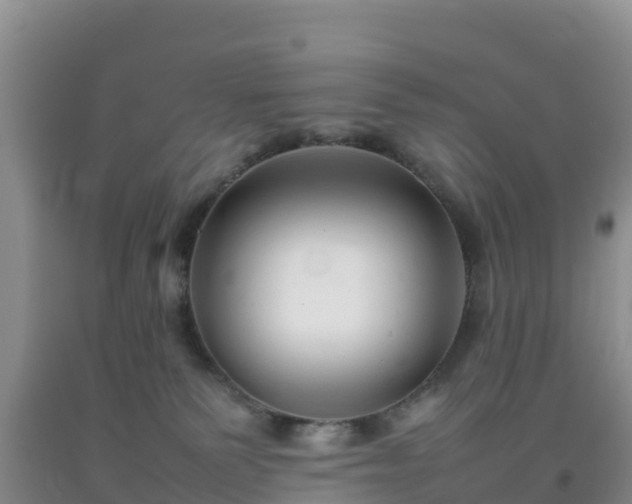 X0000092060135200709191150