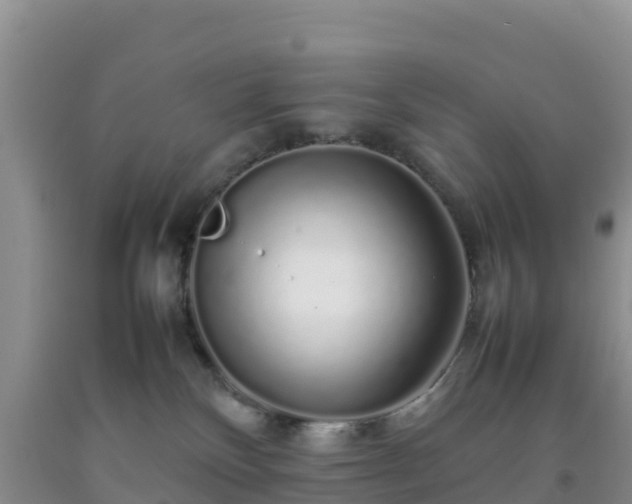 X0000092060136200709191150