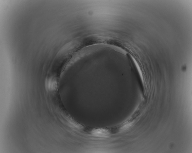 X0000092060137200709191150