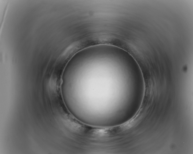 X0000092060140200709191150