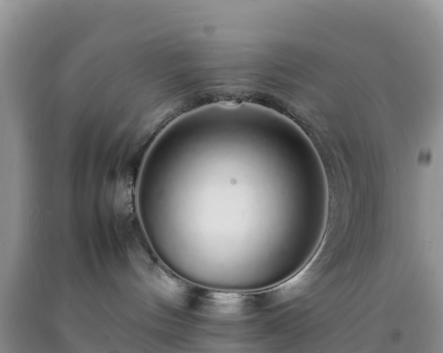 X0000092060144200709191150