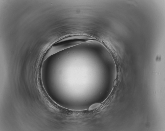 X0000092060145200709191149