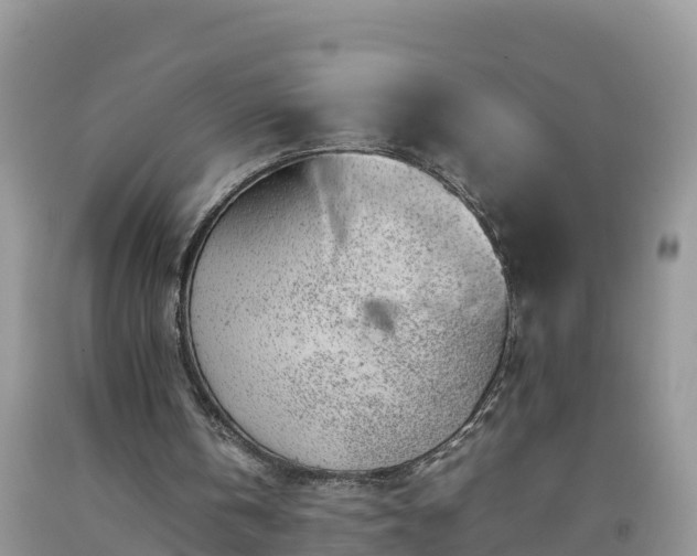 X0000092060146200709191149