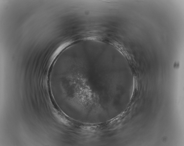 X0000092060147200709191149