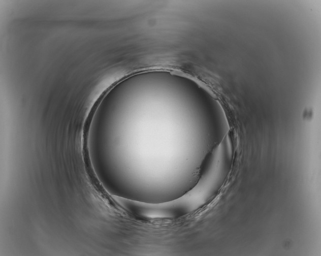 X0000092060148200709191149