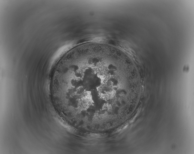 X0000092060149200709191149