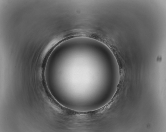 X0000092060150200709191149