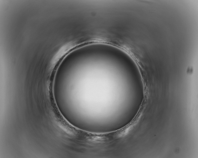 X0000092060151200709191149