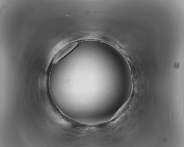 X0000092060152200709191149