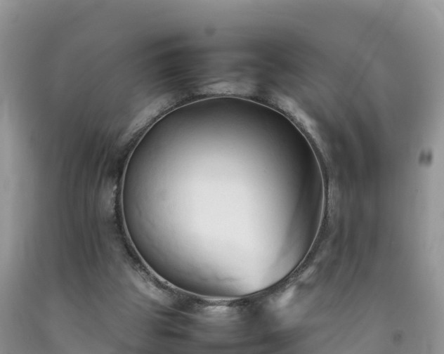 X0000092060153200709191149