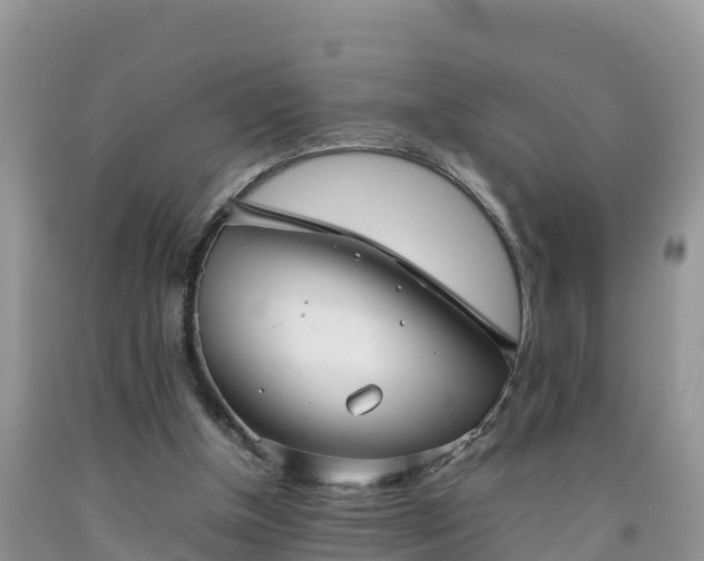 X0000092060154200709191149