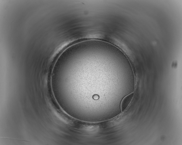 X0000092060155200709191149