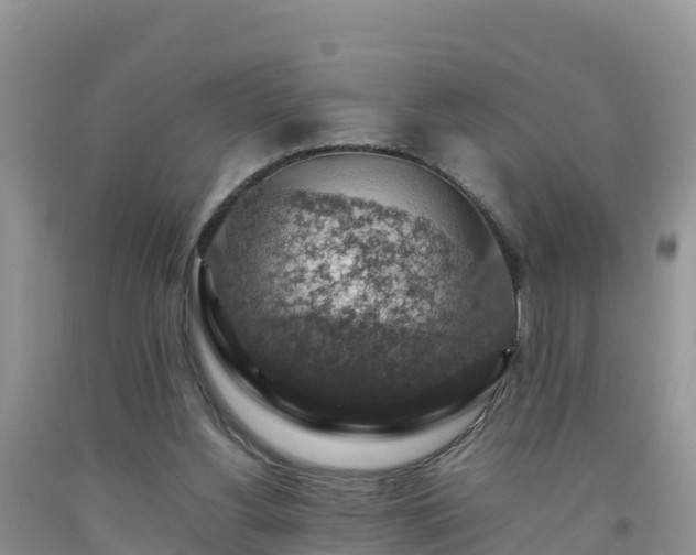 X0000092060156200709191149