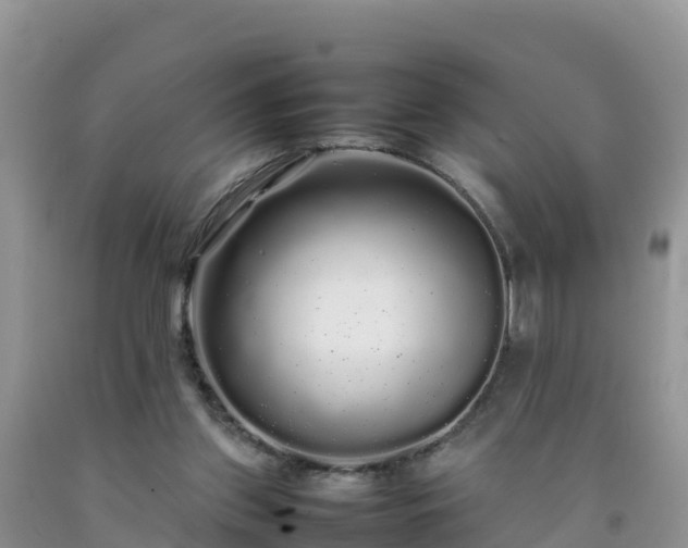 X0000092060157200709191149