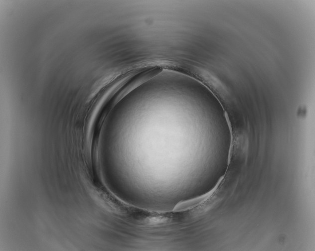 X0000092060158200709191149