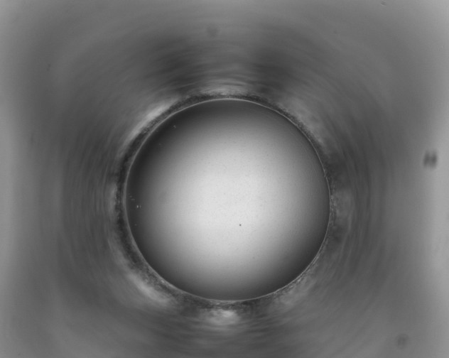 X0000092060159200709191149