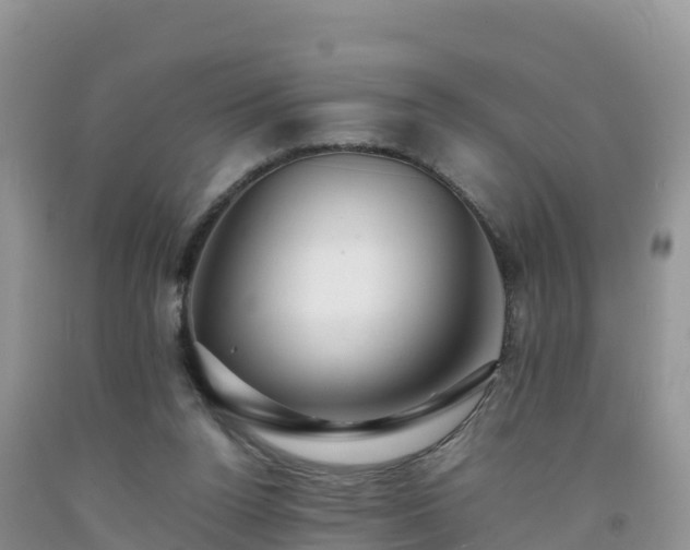 X0000092060160200709191149