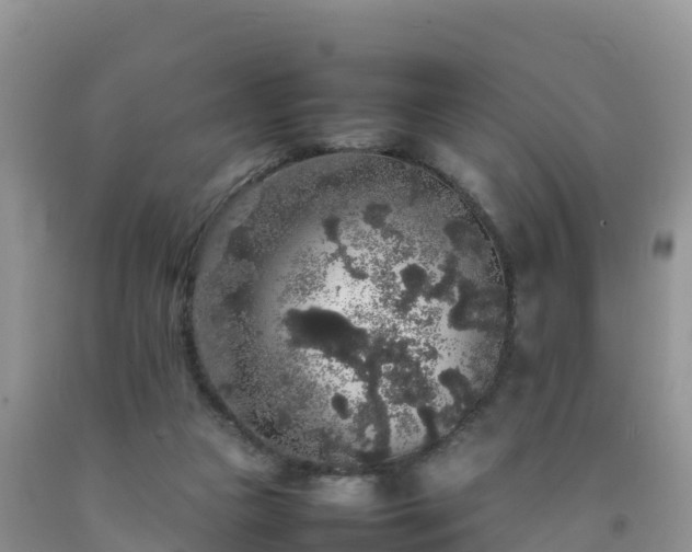 X0000092060161200709191149