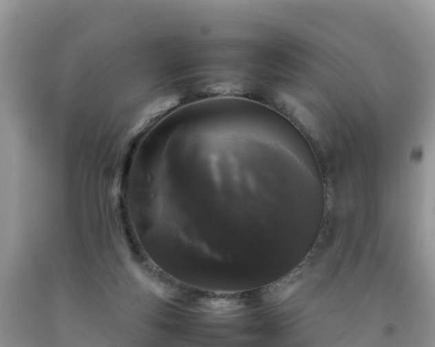 X0000092060163200709191149