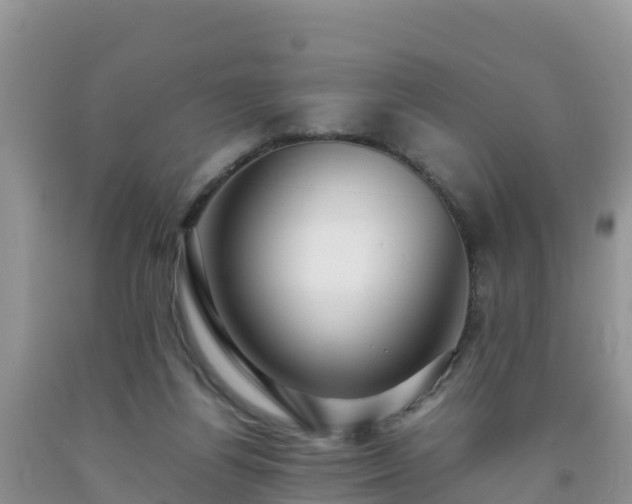 X0000092060164200709191149