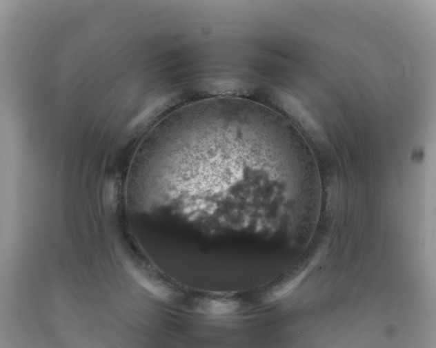 X0000092060165200709191149