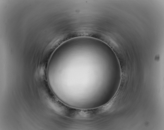 X0000092060166200709191149