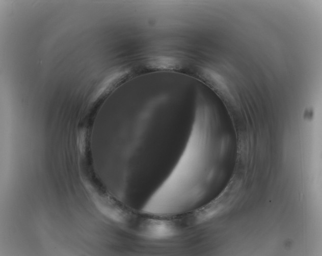 X0000092060167200709191149