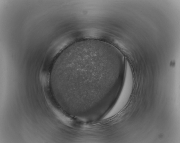 X0000092060168200709191149