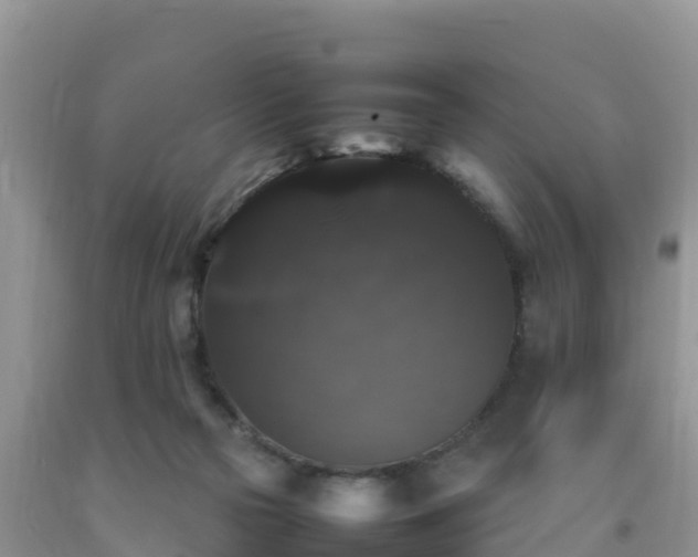 X0000092060169200709191149