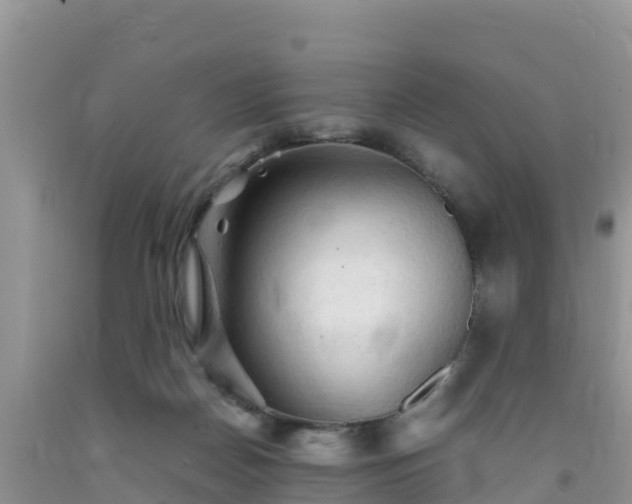 X0000092060170200709191149