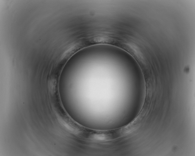 X0000092060171200709191149