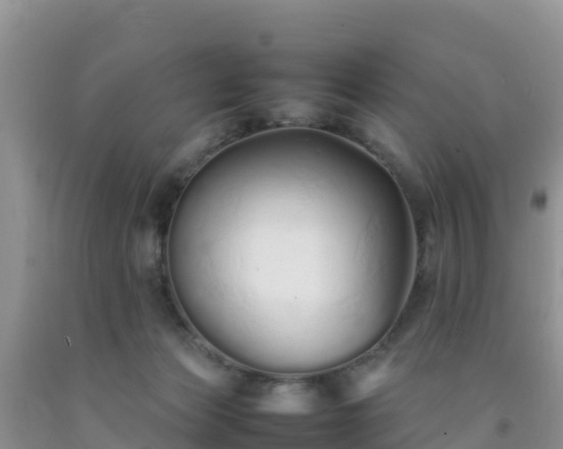 X0000092060173200709191149