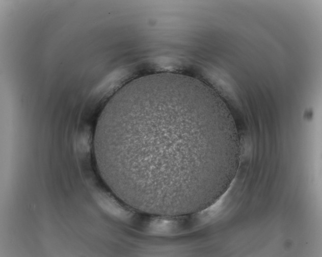 X0000092060174200709191149