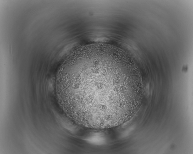 X0000092060175200709191149