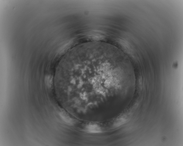 X0000092060177200709191149