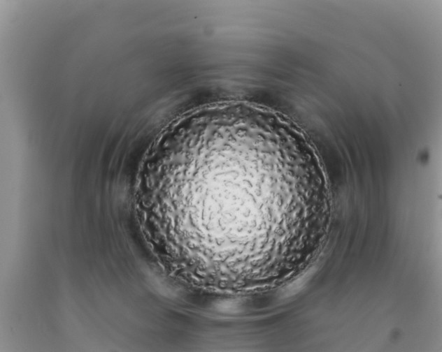 X0000092060178200709191149