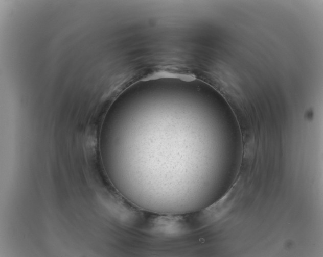 X0000092060179200709191149