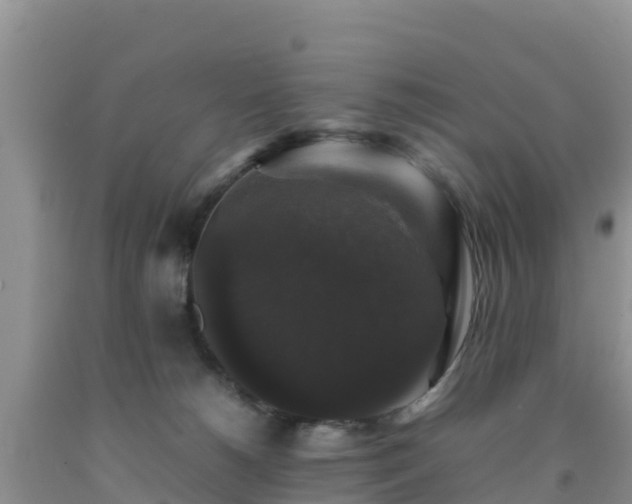 X0000092060180200709191149