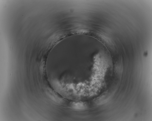 X0000092060181200709191149